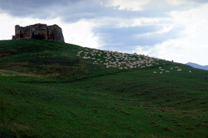 volterra170_44