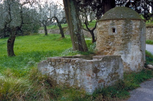 IMG0042_0186