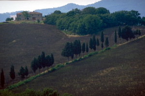 IMG0052_0186