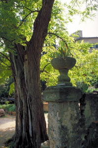 IMG0053_0186