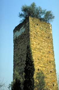 IMG0060_0186