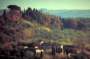 vinci14_28