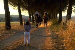 PCD1950_55