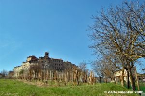 anghiari26