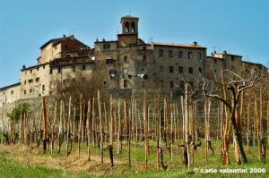 anghiari27
