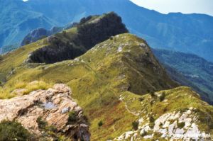 apuane217_10