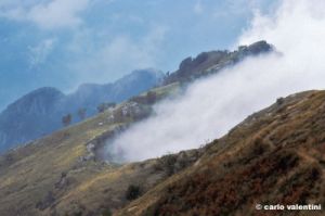 apuane217_40