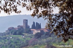 artimino778_28