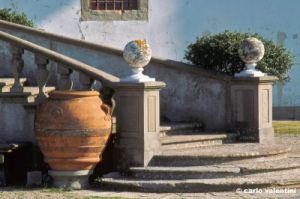 artimino779_02