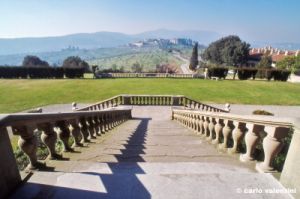 artimino779_08