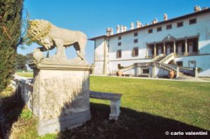 artimino779_25