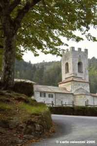 badia_coltibuono008