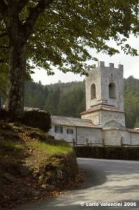 badia_coltibuono009