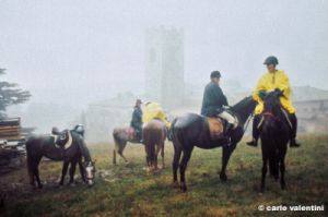 badia_coltibuono1003_40
