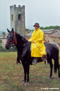 badia_coltibuono1004_01