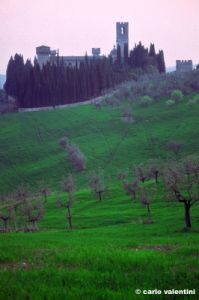 badia_passignano202_23