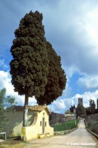 badia_passignano938_45