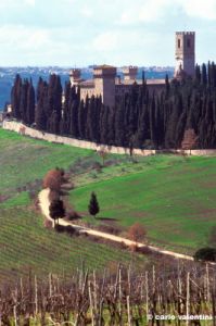 badia_passignano939_02