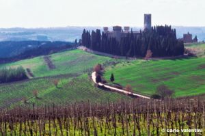 badia_passignano939_03
