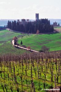 badia_passignano939_04