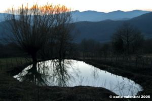badia_tedalda