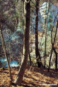 bagni_san_filippo387_02