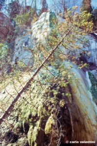 bagni_san_filippo387_03