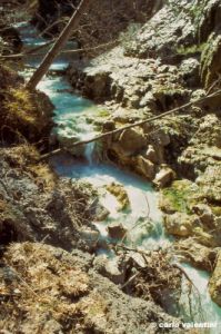 bagni_san_filippo387_12