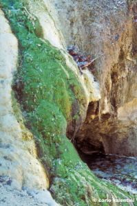 bagni_san_filippo387_14