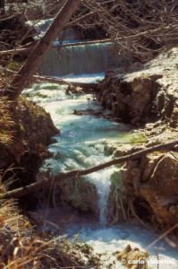 bagni_san_filippo387_23