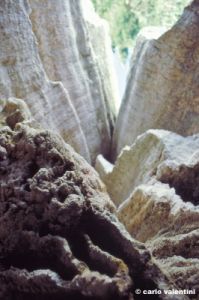 bagni_san_filippo388_24