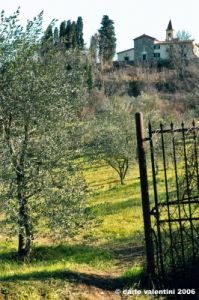 bagno_a_ripoli19
