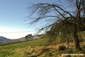 bagno_a_ripoli22