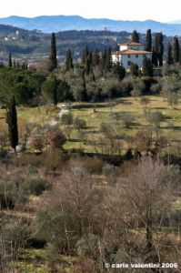 bagno_a_ripoli26