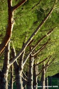 bagno_a_ripoli_01