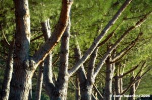 bagno_a_ripoli_02