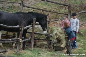 balzana09