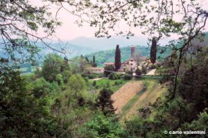 barbiana954_10.jpg