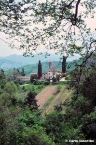 barbiana954_12.jpg