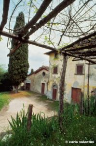 barbiana954_18.jpg