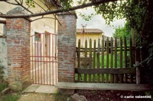 barbiana955_08.jpg