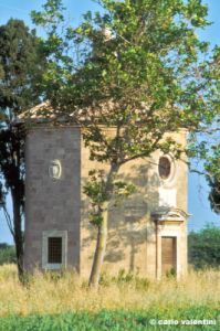 bolgheri611_12