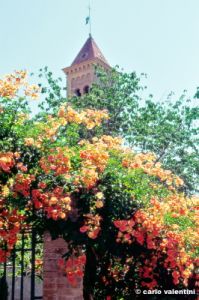 bolgheri861_32
