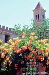 bolgheri861_34