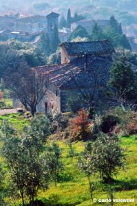 brolio931_32