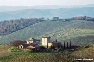 brolio931_35