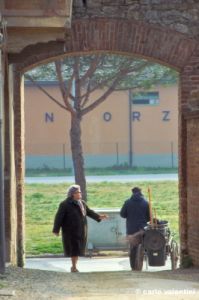 buonconvento384_24