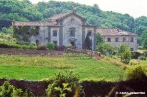 buonsollazzo252_40