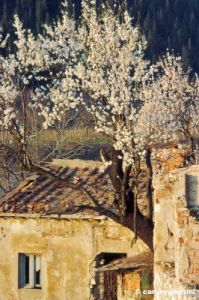 calenzano553_28