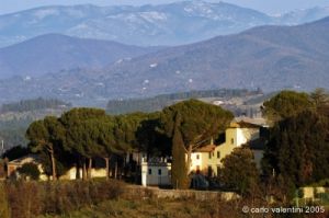 campagna_mercatale01
